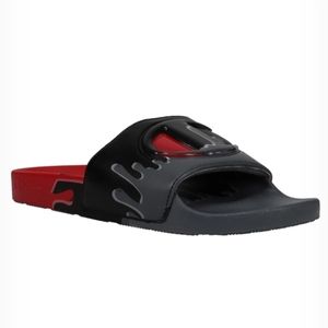 Champion IPO DRIP slides